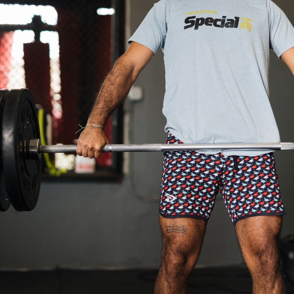 Boardshorts 6" Flamingos