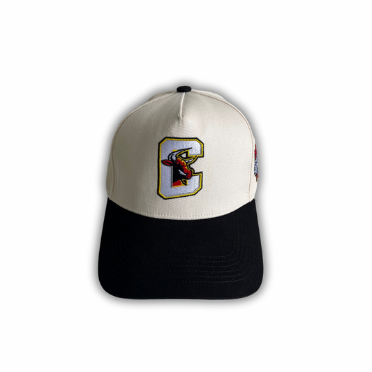 Toritos 2022 Championship Collectors Snapback